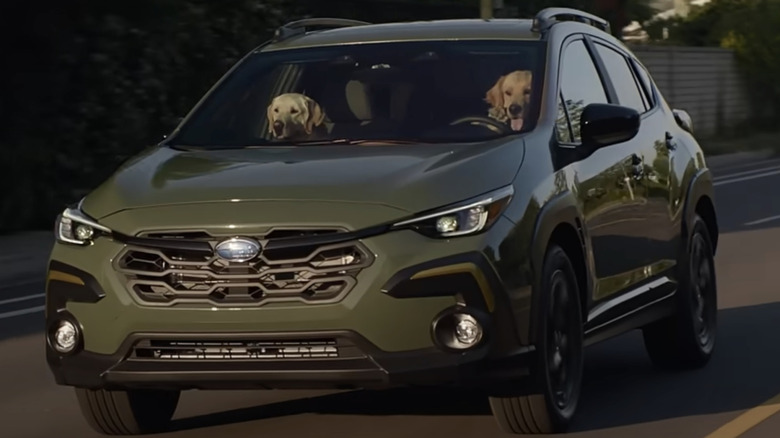 Subaru’s Dog Ads Go Beyond Cuteness