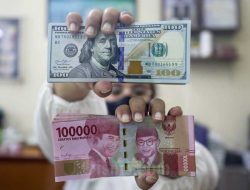 Harga Kurs Dolar Hari Ini: Mandiri, BCA, BNI, BRI Harga Kurs Dolar Hari Ini: Mandiri, BCA, BNI, BRI