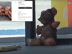 Teddy Bear Wrapped in Human Skin Spooks California Residents and Police