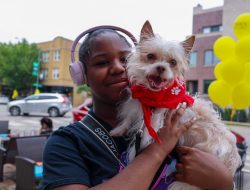 PAWS Chicago Hosts Adoption Event for 50 Pets in Need PAWS Chicago Hosts Adoption Event for 50 Pets in Need