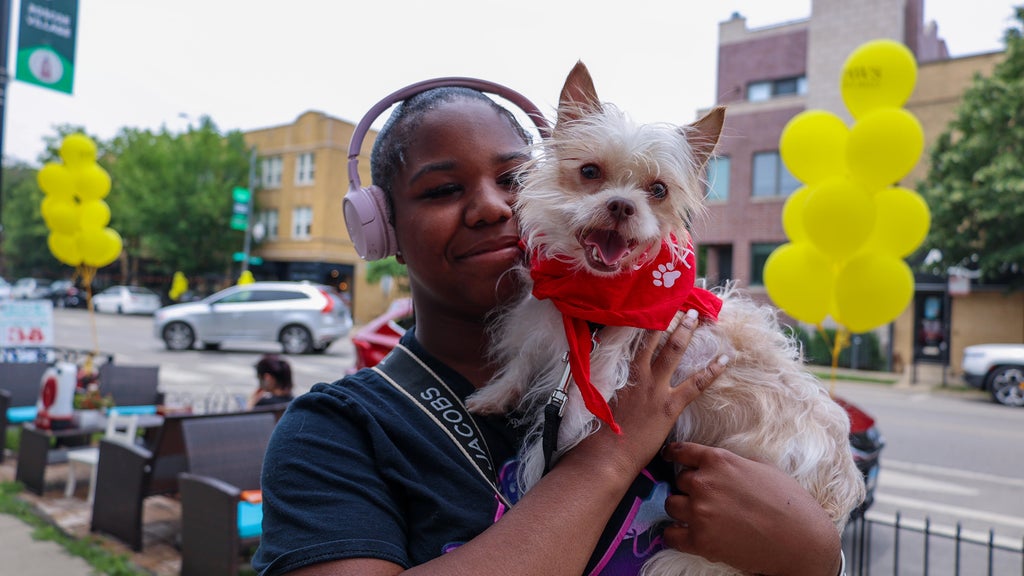 PAWS Chicago Hosts Adoption Event for 50 Pets in Need