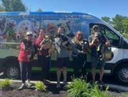 West Grove Farm Animal Rescue: Adoptions That Change Lives