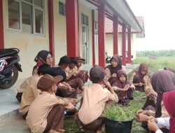 SDN 3 Kertasari Tak Dapat Tarik Minat Warga Meski Gedung Bagus SDN 3 Kertasari Tak Dapat Tarik Minat Warga Meski Gedung Bagus