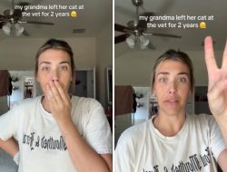 Grandma Craves a New Cat—Horror Unfolds as Family Discovers Her Past Grandma Craves a New Cat—Horror Unfolds as Family Discovers Her Past