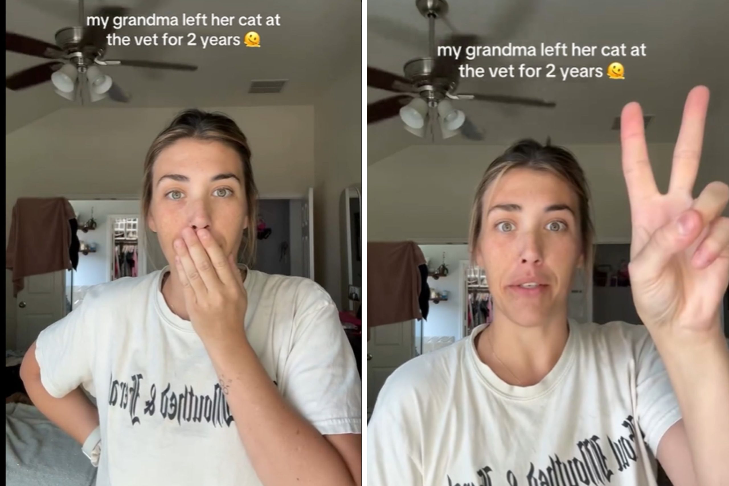 Grandma Craves a New Cat—Horror Unfolds as Family Discovers Her Past
