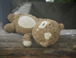 Teddy Bear in ‘Human Skin’ Found: What’s Known