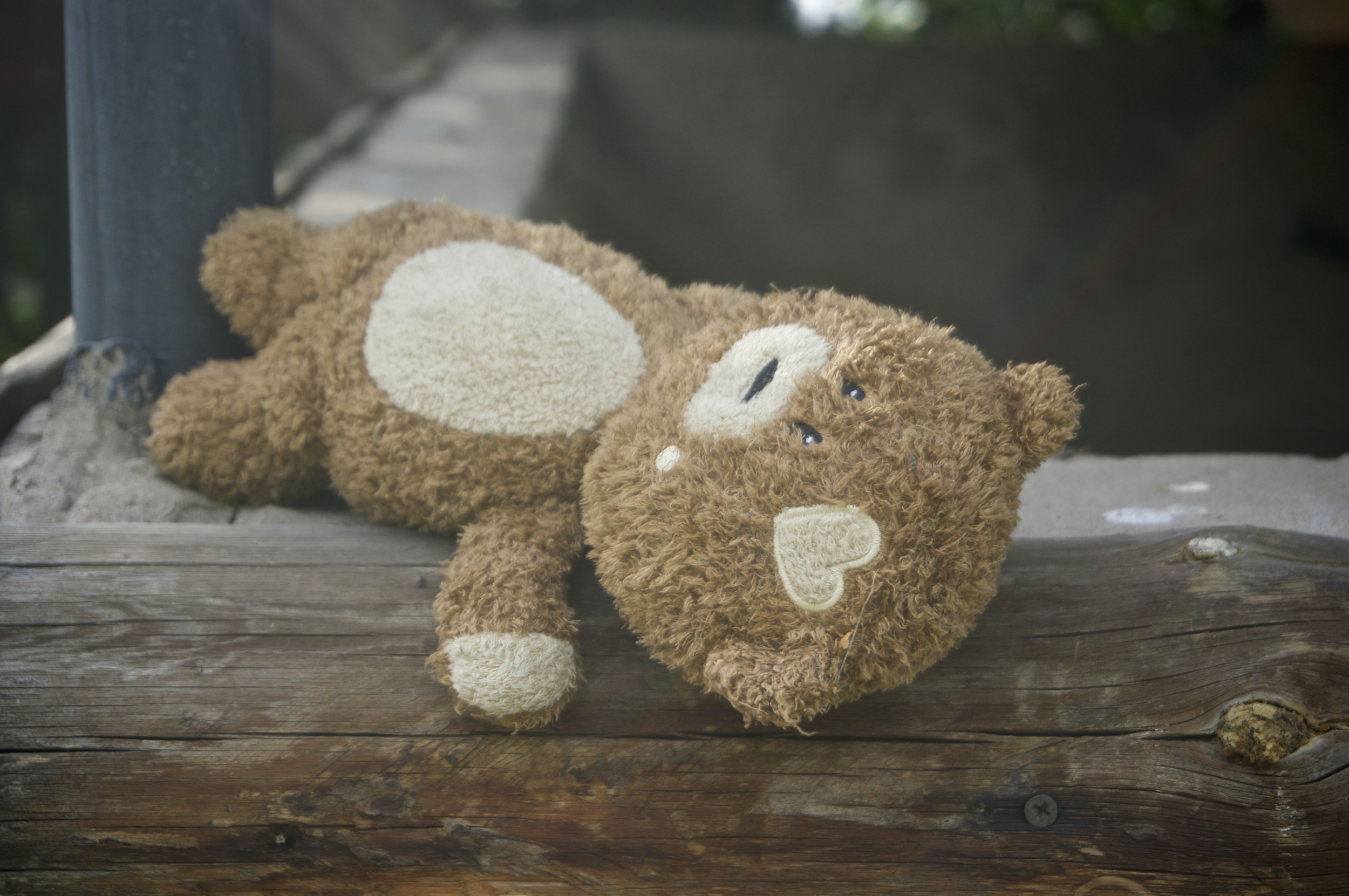 Teddy Bear in ‘Human Skin’ Found: What’s Known