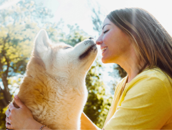 The 5 Most Faithful Dog Breeds—They’ll Never Let You Down The 5 Most Faithful Dog Breeds—They’ll Never Let You Down