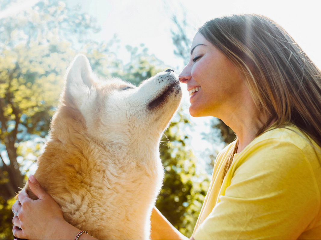 The 5 Most Faithful Dog Breeds—They’ll Never Let You Down