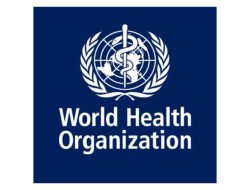 India’s Ayush Breakthroughs Highlighted in WHO’s AI in Traditional Medicine Report