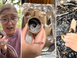 Woman’s Money-Saving Hack: Repurpose Old Toilet Paper Rolls Woman’s Money-Saving Hack: Repurpose Old Toilet Paper Rolls