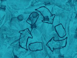 Alachua County Leads Florida in Recycling Efforts Alachua County Leads Florida in Recycling Efforts
