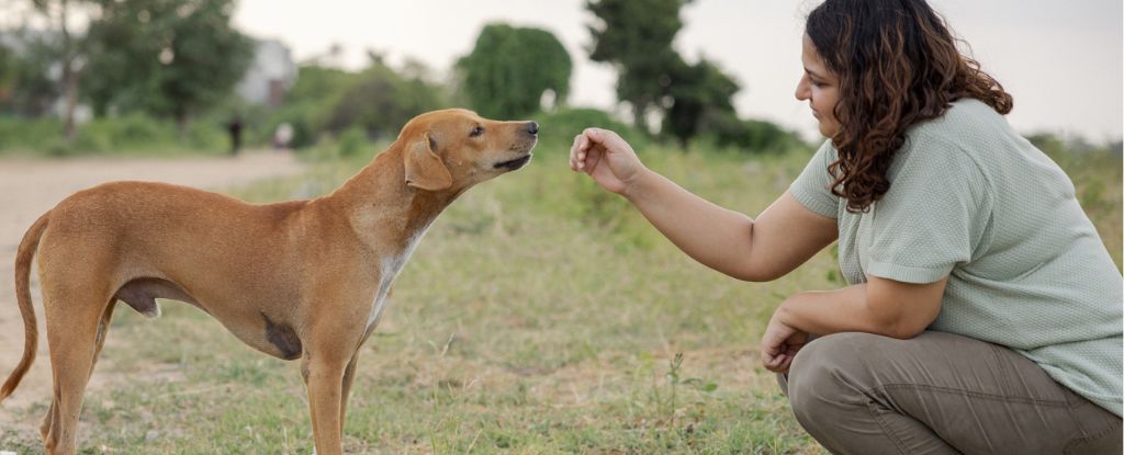 Dogs Sniff Out Parkinson’s Disease By Its Unique Scent