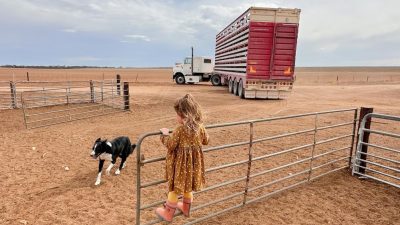 Cold Front Brings Much-Needed Rain to Drought-Affected Southeast Australia