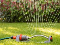 Utility introduces rebate program for landscaping upgrades: Impact on your wallet