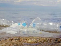 Florida Fails Plastic Pollution Report, Demands Bold Action