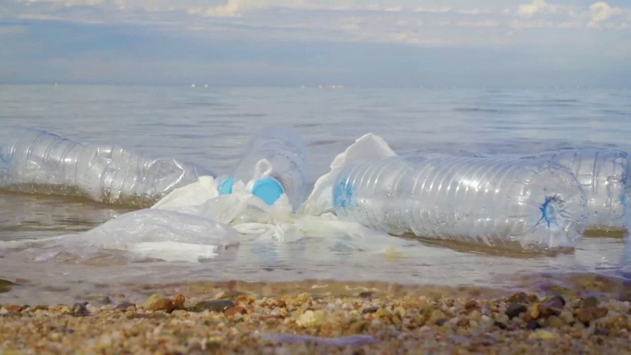 Florida Fails Plastic Pollution Report, Demands Bold Action