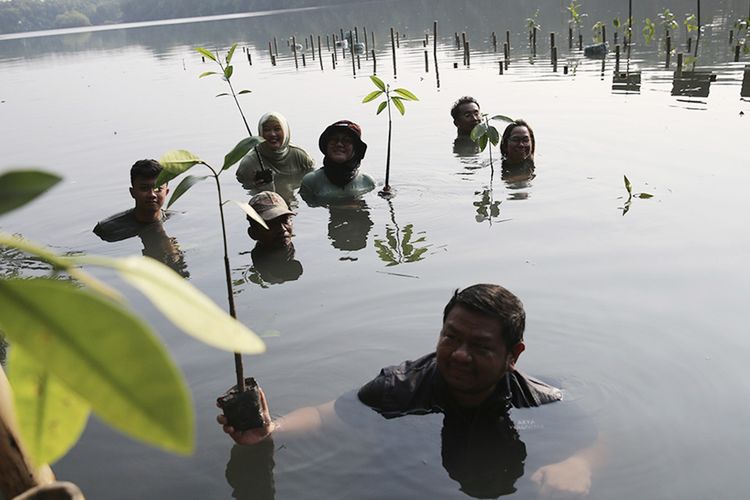 60 Persen Mangrove Dunia Rusak, Tanam 300 Pohon Bersama Pelanggan untuk Lindungi Ekosistem Pesisir