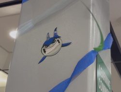 Shark Week Begins at TAMU-CC