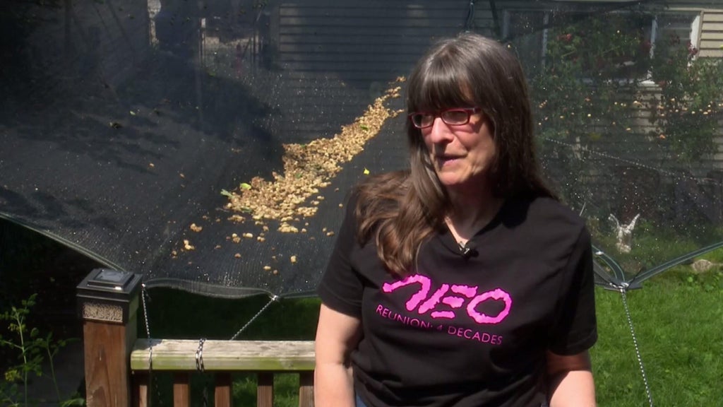 Chicago Woman Frustrated by Rotten Berries from Neighbor’s Tree