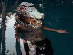 Inspiration Flows from the Everglades to AIRIE Artists