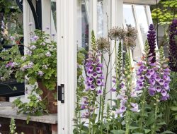 Cottage Garden Ideas – 33 Ways to Bring Charm and Flowers to Your Yard