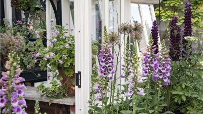 Cottage Garden Ideas – 33 Ways to Bring Charm and Flowers to Your Yard