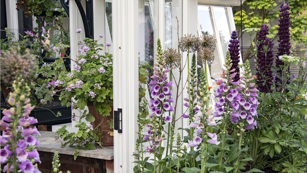 Cottage Garden Ideas – 33 Ways to Bring Charm and Flowers to Your Yard