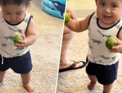 Teach Your Baby to Walk: Two Limes Needed Teach Your Baby to Walk: Two Limes Needed