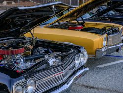 Why No Seven-Cylinder Car Engines?