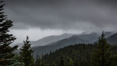 Mountain Lion Attacks 4-Year-Old in Olympic National Park