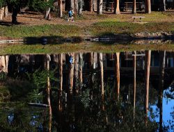 Guest Commentary | Protecting Monarch Habitat at Moran Lake Through Science, Safety, and Community Guest Commentary | Protecting Monarch Habitat at Moran Lake Through Science, Safety, and Community