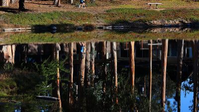 Guest Commentary | Protecting Monarch Habitat at Moran Lake Through Science, Safety, and Community