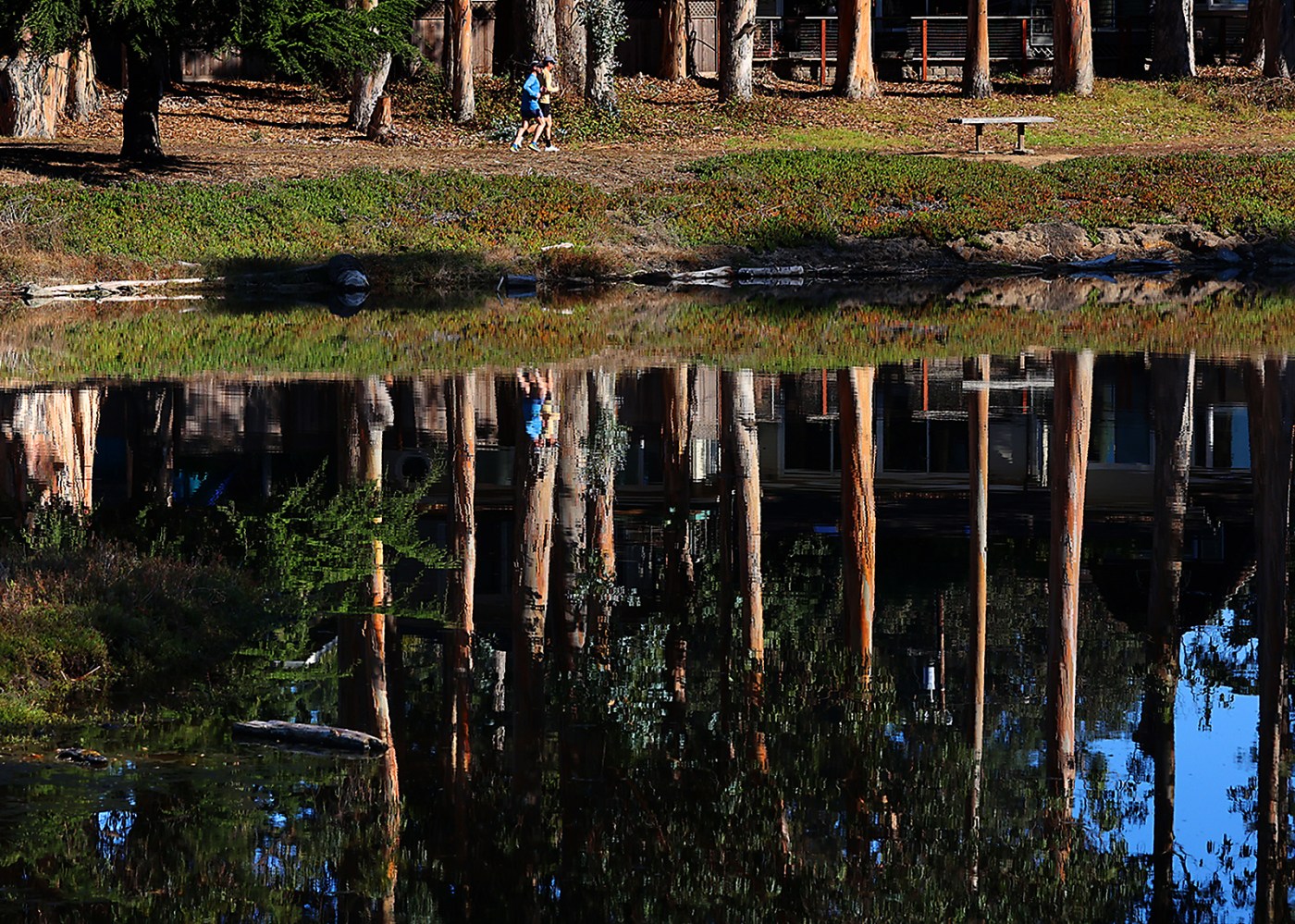 Guest Commentary | Protecting Monarch Habitat at Moran Lake Through Science, Safety, and Community