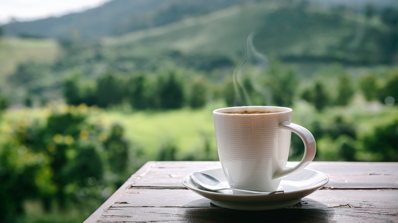 Why Coffee Is Called a “Cup of Joe”