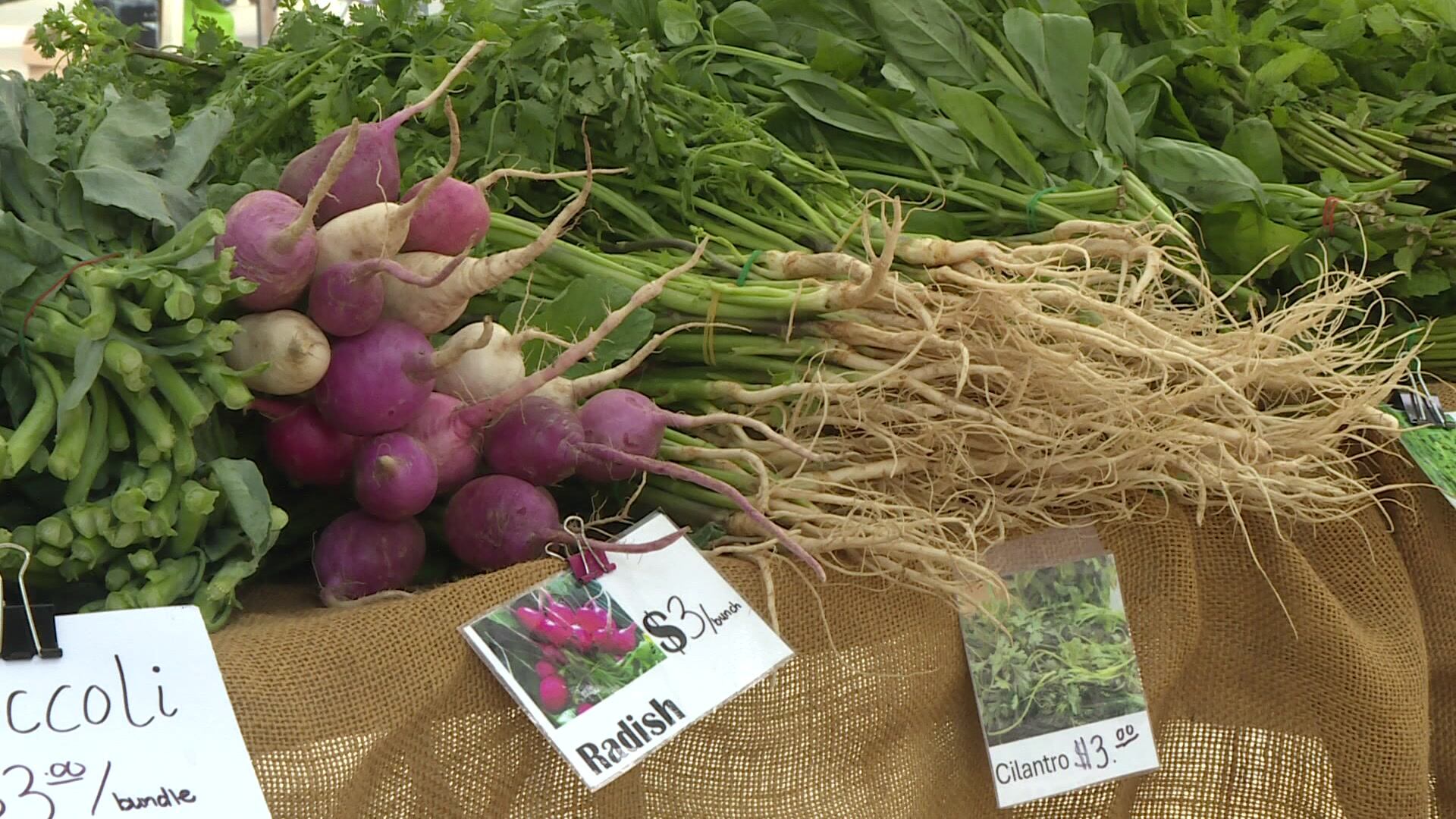 Farm to Food Bank: Combating Food Waste in Dane County