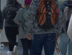 Lane Education collaborates with Oregon on federal DEI funding guidelines