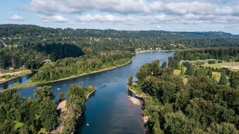 Just Outside Portland, This Emerald Oregon River Has It All: Tubing, Rapids, and Camping