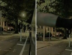Tesla Owner Shares Disturbing Street Incident: ‘No Compensation for the Damage’