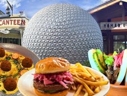 Top 15 Vegan Restaurants at Disney World Top 15 Vegan Restaurants at Disney World