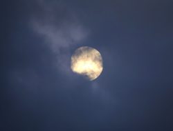 Horoscope: Wednesday, July 23, 2025 by Georgia Nicols