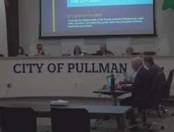 Pullman Considers Fireworks Advisory to Calm Residents’ Concerns