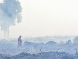 BNPB Laporkan Kebakaran Hutan di Sumatera BNPB Laporkan Kebakaran Hutan di Sumatera