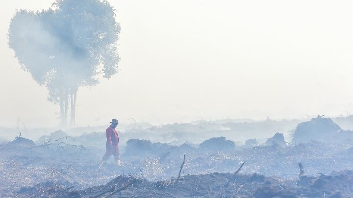 BNPB Laporkan Kebakaran Hutan di Sumatera