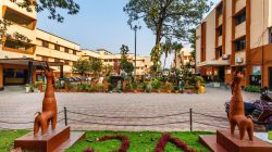 Kolkata’s Vivekananda College Achieves NAAC A+ Amidst Platinum Jubilee Celebrations