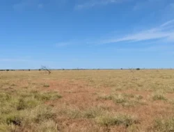 DP Energy Launches 1.4 GW Australian Wind Farm DP Energy Launches 1.4 GW Australian Wind Farm