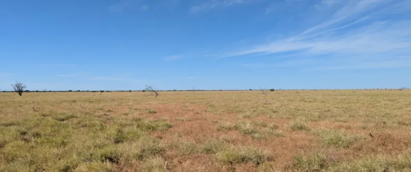 DP Energy Launches 1.4 GW Australian Wind Farm