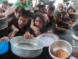 Gaza on Brink of Man-Made Famine, WHO Warns Gaza on Brink of Man-Made Famine, WHO Warns