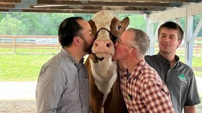 Cow Kiss Event Funds ,693 for ALICE Families in Lewis County