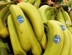 Smart Summer Snacking Tips from a Local Nutritionist